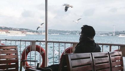 价格直逼150元/公斤，创下新高！不少厦门人惦记的头茬荔枝，刚刚上市